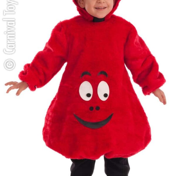 Costume da Barba Papà Rosso