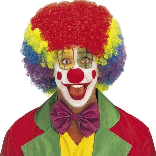 Maxi Parrucca da Clown Multicolore