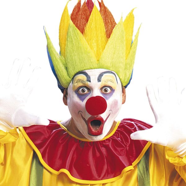 Parrucca da Supersaian Clown Multicolore