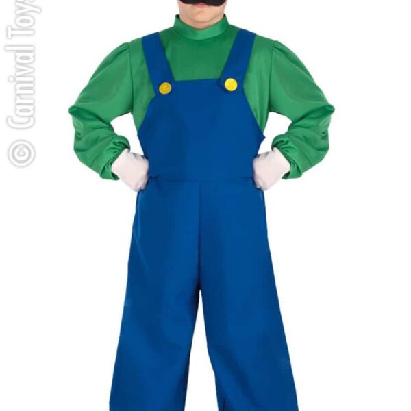 Costume da Luigi
