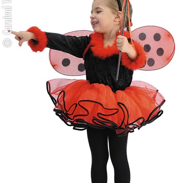 Costume da Coccinella
