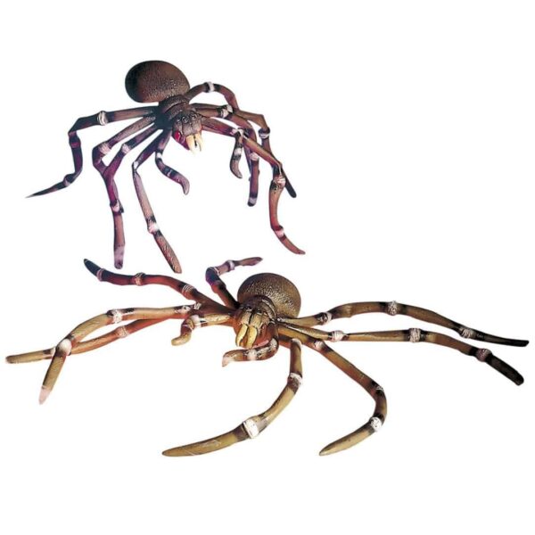 Ragno Gigante