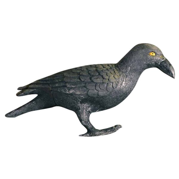 Corvo Nero