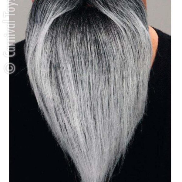 Barba con Baffi Brizzolati