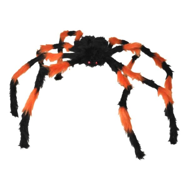 Ragno Nero e Arancione