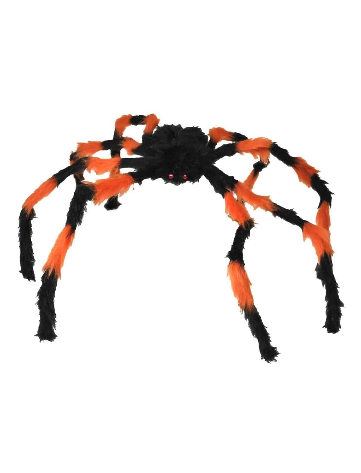 Ragno Nero e Arancione
