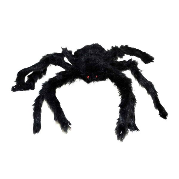 Ragno Nero Peloso