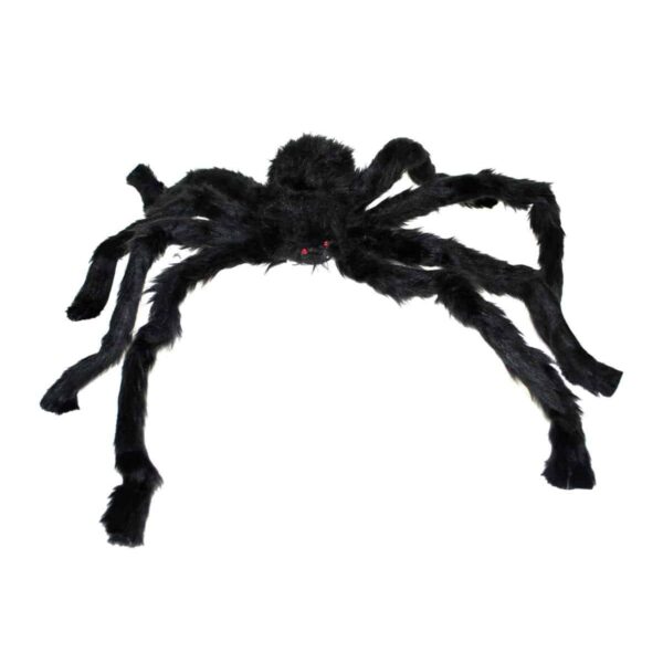 Ragno Gigante Nero Peloso