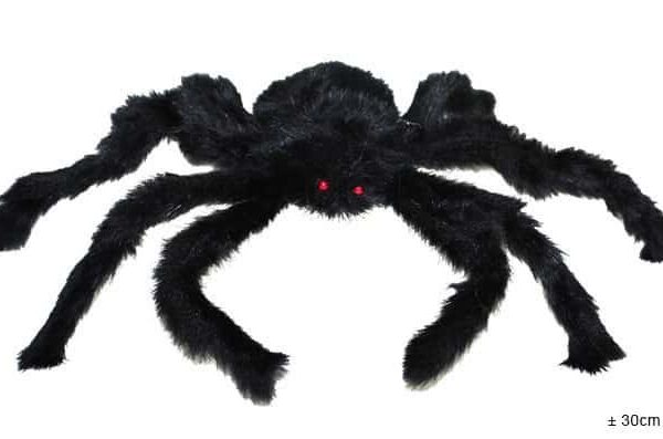 Ragno Nero Peloso