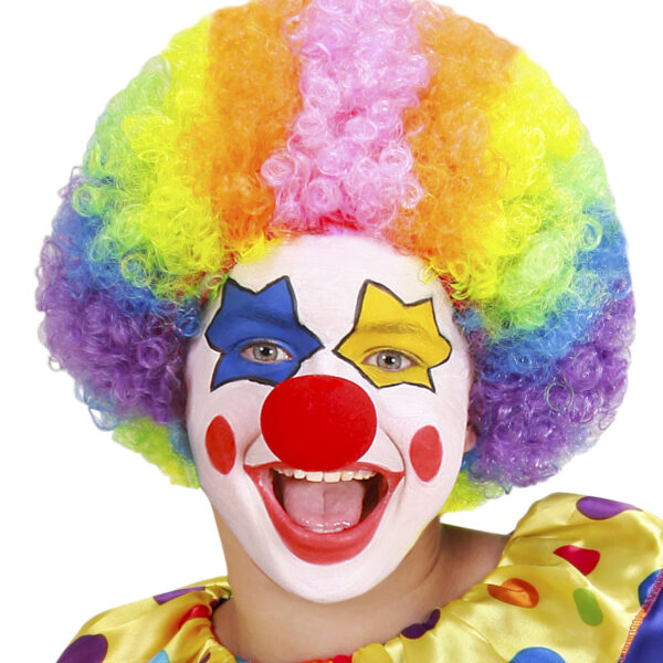 Parrucca da Clown Multicolore