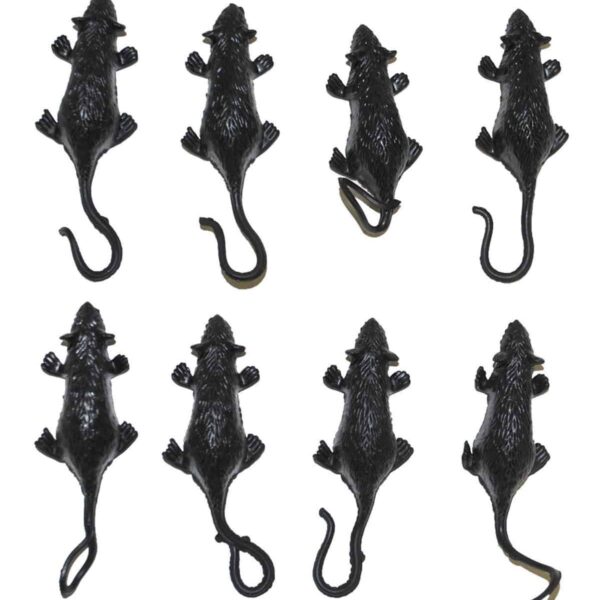 Confezione di Topi Neri