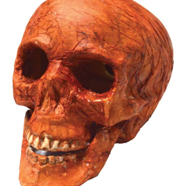 Teschio Rosso Luminoso