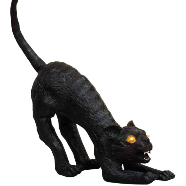 Gatto Nero con Occhi Luminosi