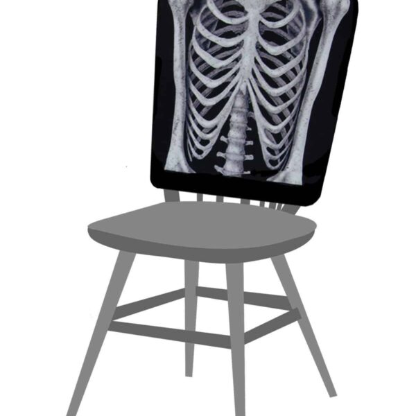Coprisedia Busto Scheletro