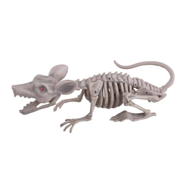 Scheletro da Ratto Sonoro e Luminoso