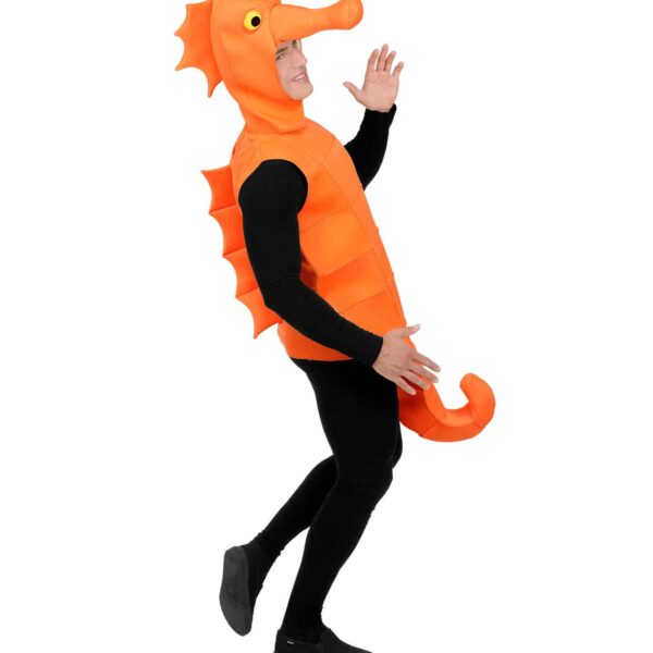Costume da Cavalluccio Marino