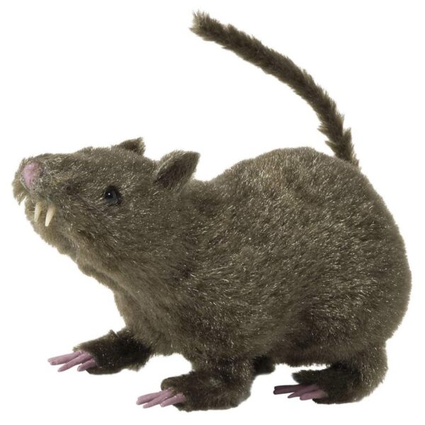 Ratto Spaventoso