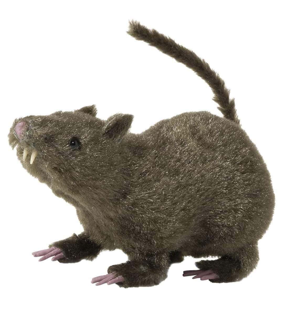 Ratto Spaventoso