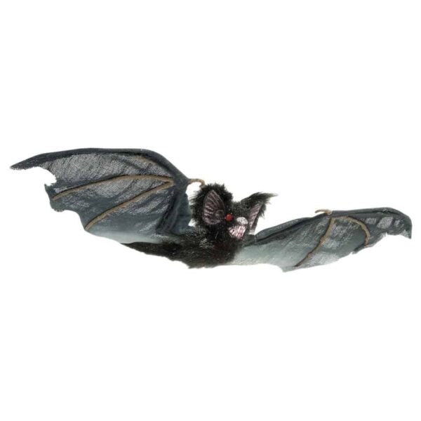 Pipistrello Nero Peloso