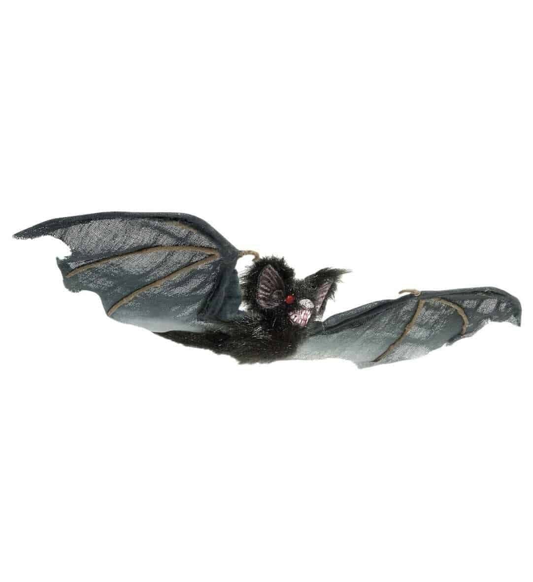 Pipistrello Nero Peloso