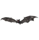 Pipistrello Nero Gigante