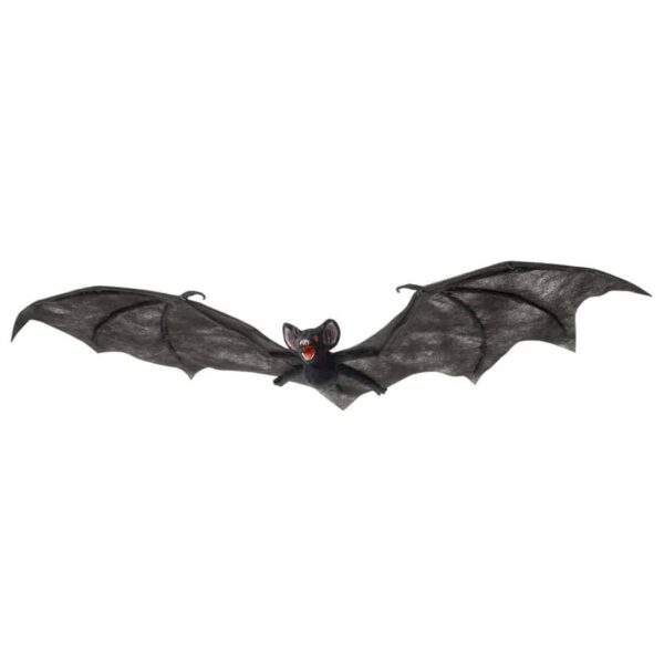 Pipistrello Nero Gigante