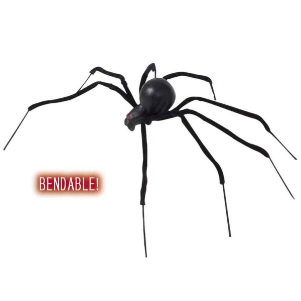 Ragno Vedova Nera Gigante