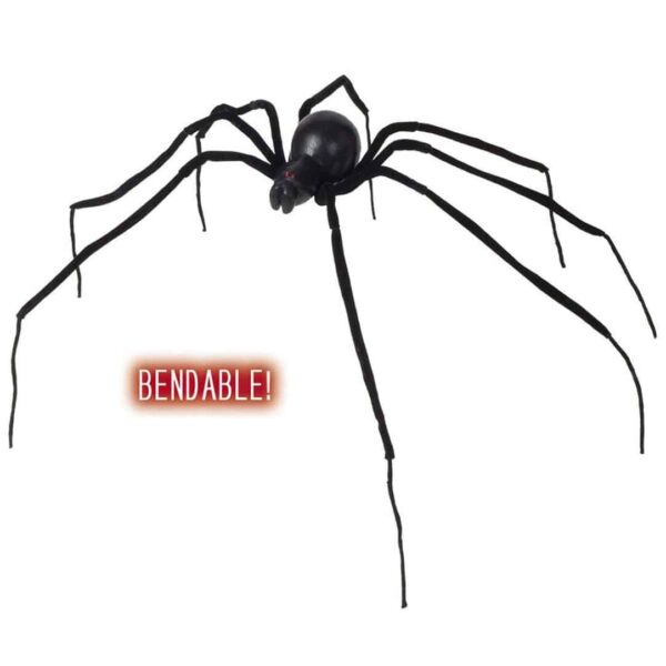 Ragno Vedova Nera Gigante
