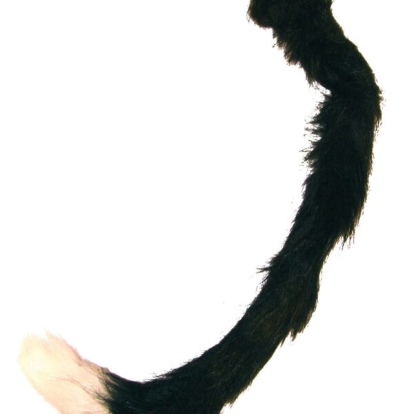 Coda Nera da Gatto o Cane