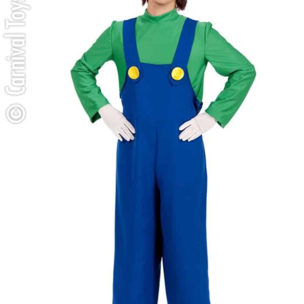 Costume da Luigi