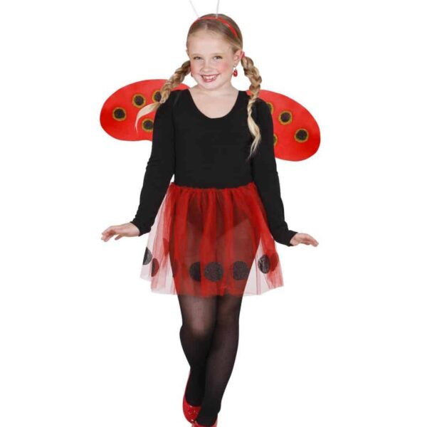 Set da Coccinella