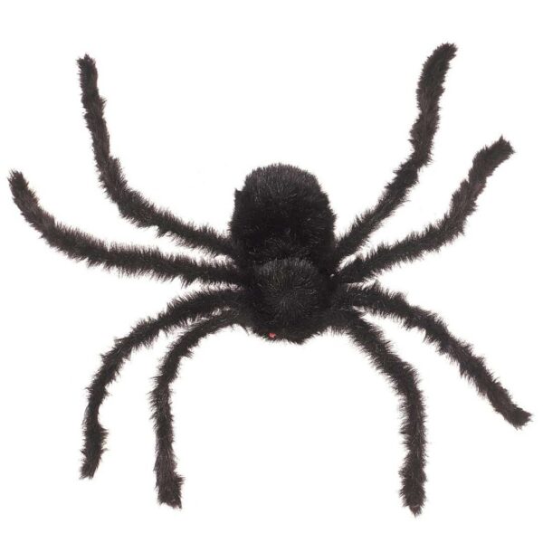Ragno Peloso Nero Gigante