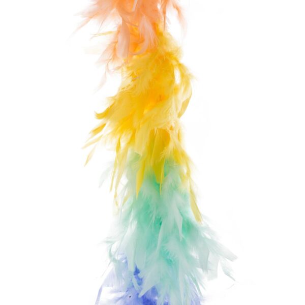 Boa Colori Pastello 45 gr.