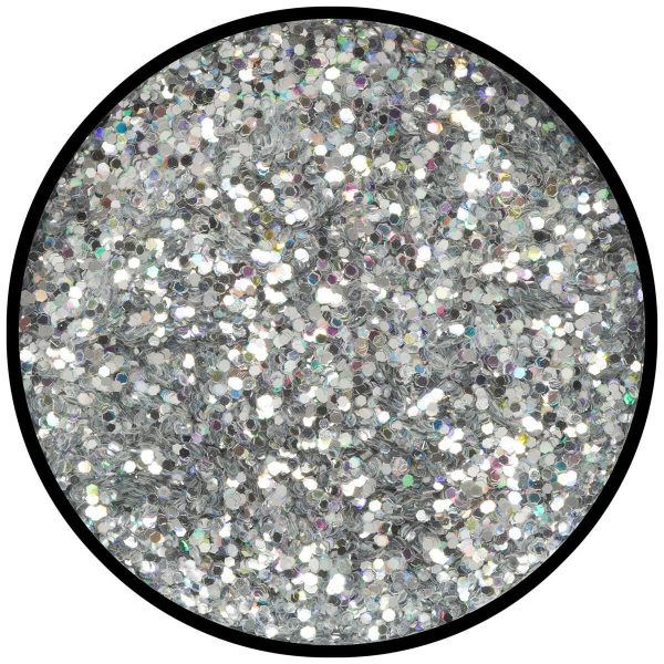 Polvere di Stelle Brillantini Olografica Argento Grana Grossa 2 Gr.
