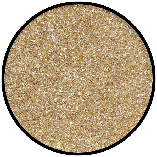 Polvere di Stelle Brillantini Olografica Oro Grana Fine 6 Gr.