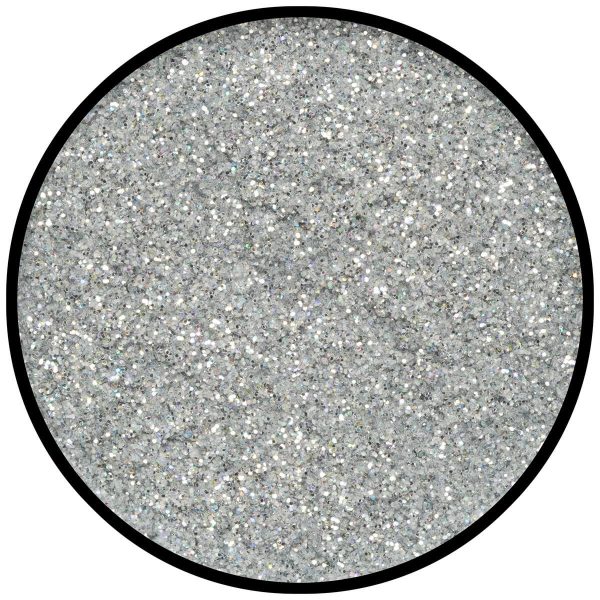 Polvere di Stelle Brillantini Olografica Argento Grana Fine 2 Gr.