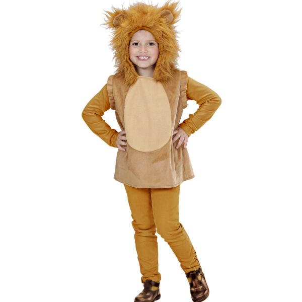 Costume da Leone