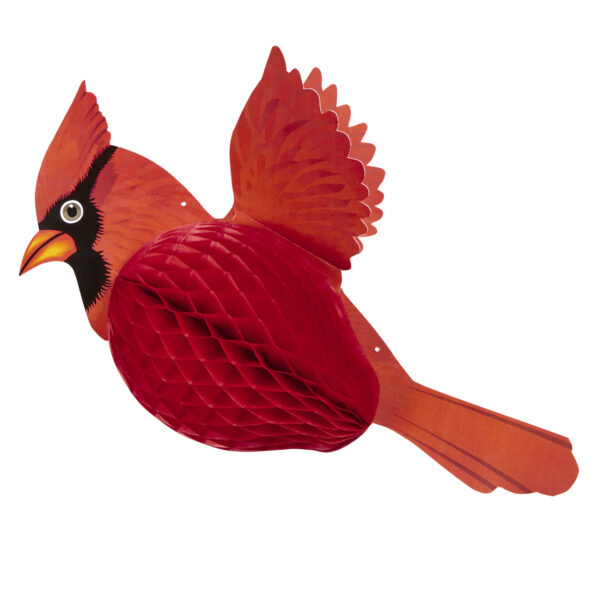 Uccello Cardinale Rosso a Nido d'Ape