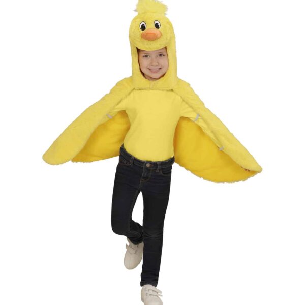 Costume da Pulcino