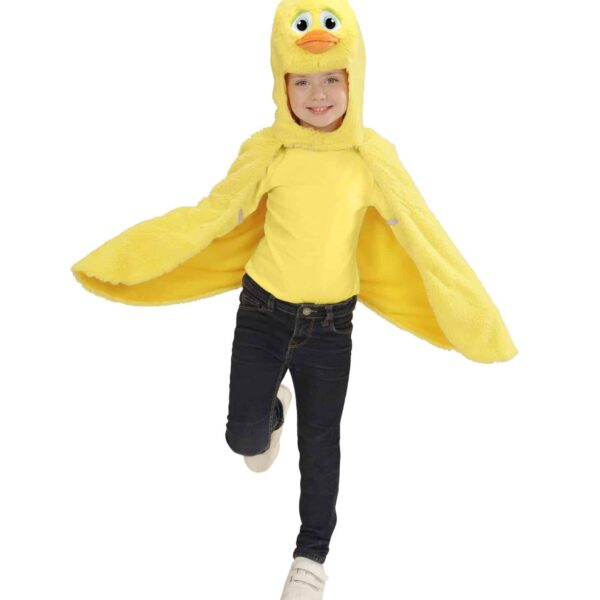Costume da Anatra