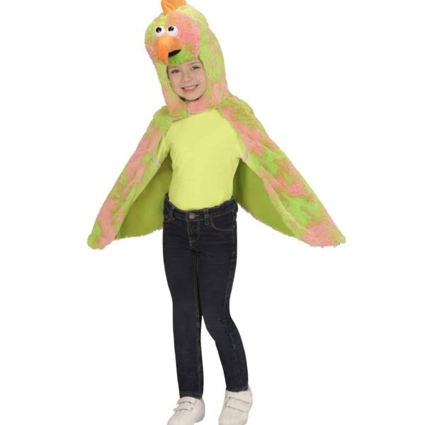 Costume da Canarino