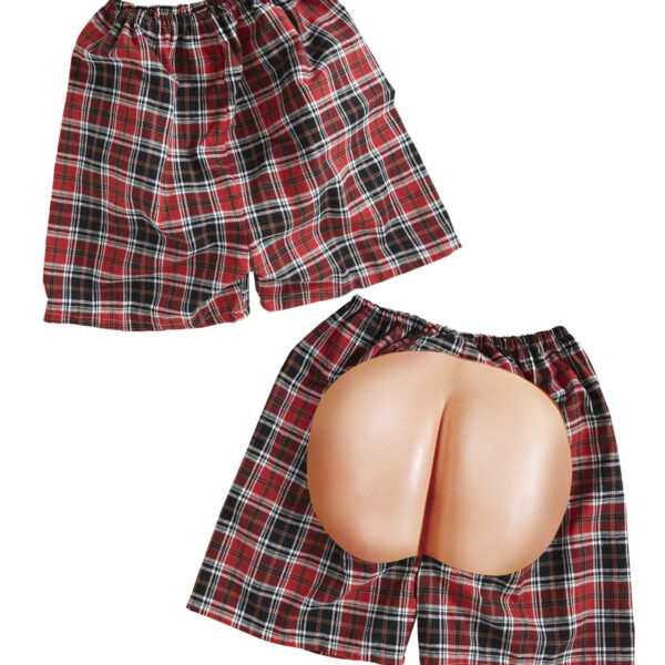 Boxer con Sedere