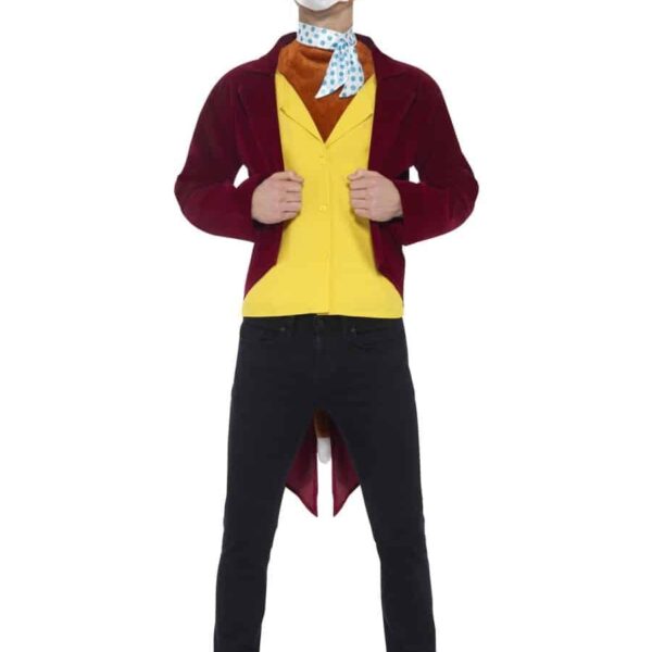 Costume da Mr Volpe