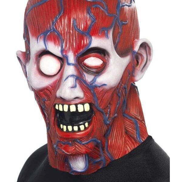 Maschera Anatomica Umana