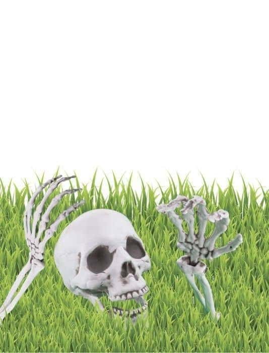 Scheletro da Giardino