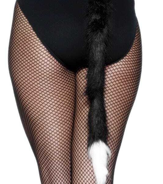 Coda Da Gatto