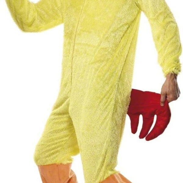 Costume da Gallo