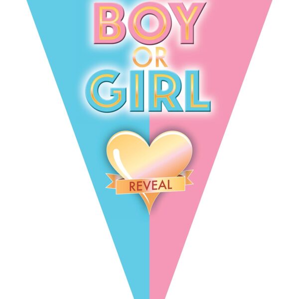 Festone Bandierina Boy or Girl