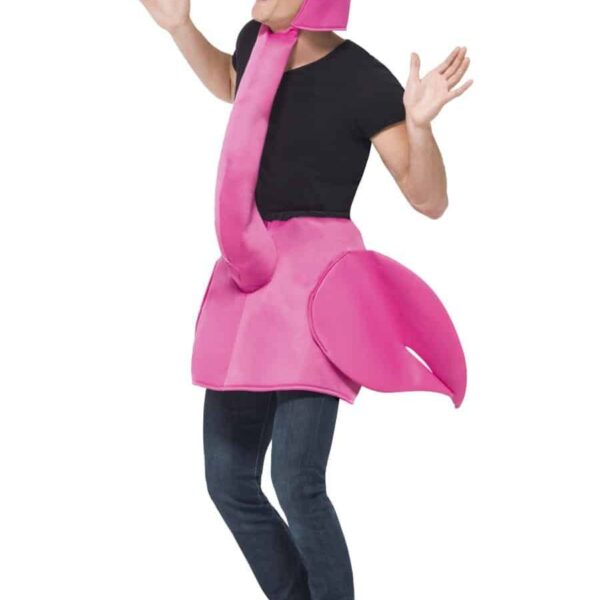 Costume da Fenicottero