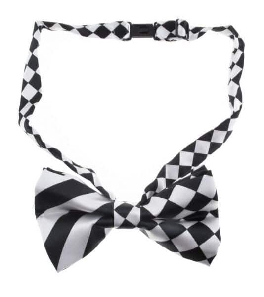 Papillon Bianco e Nero